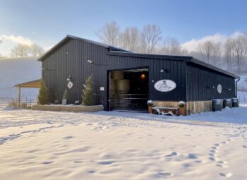 IMG_9703 3 - Esh's Utility Buildings