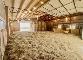 IMG_9707 2 - Esh's Utility Buildings