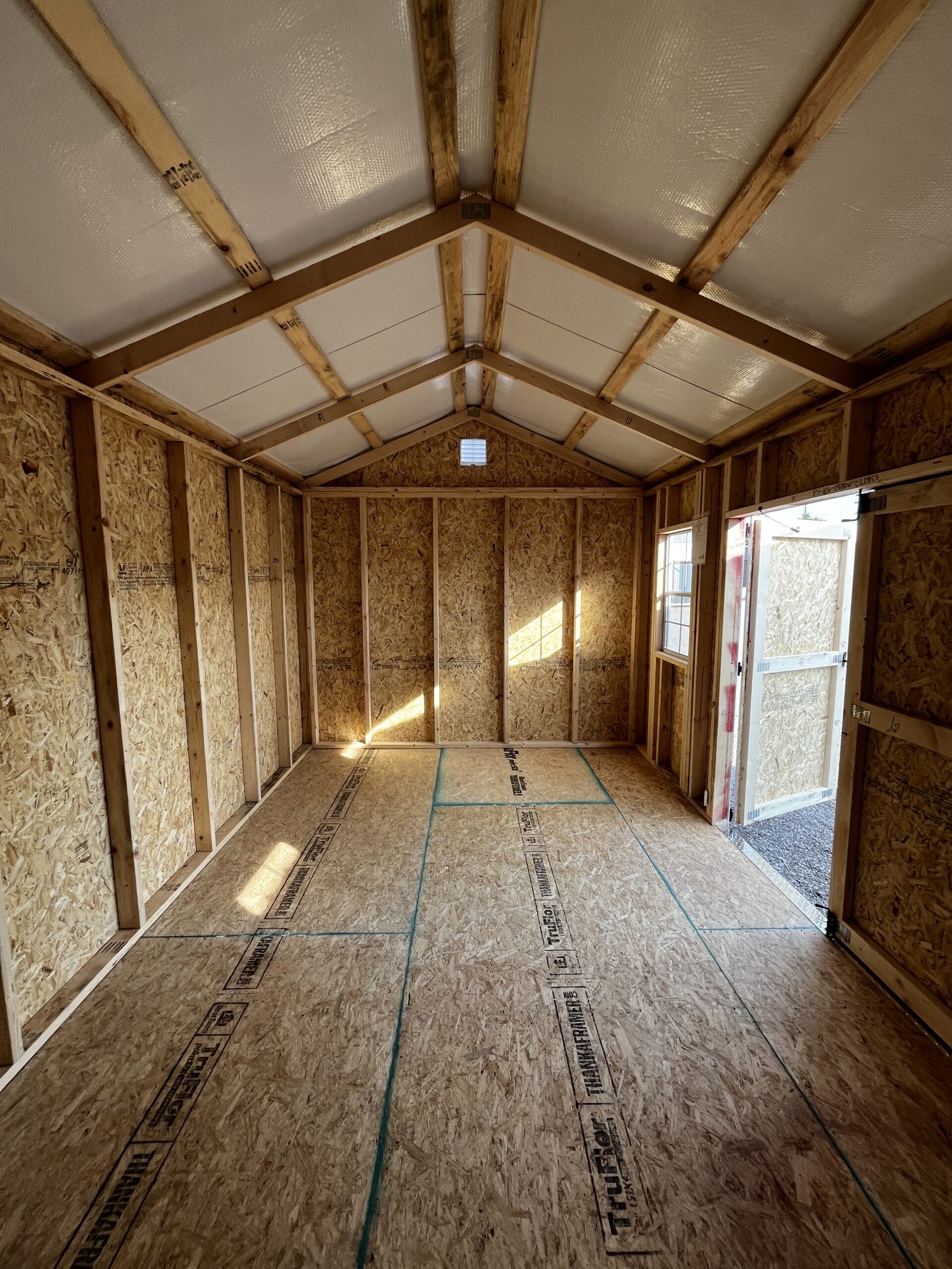 Interior of a small wooden shed under construction with exposed studs, OSB walls, and a pitched roof framing the space in natural light