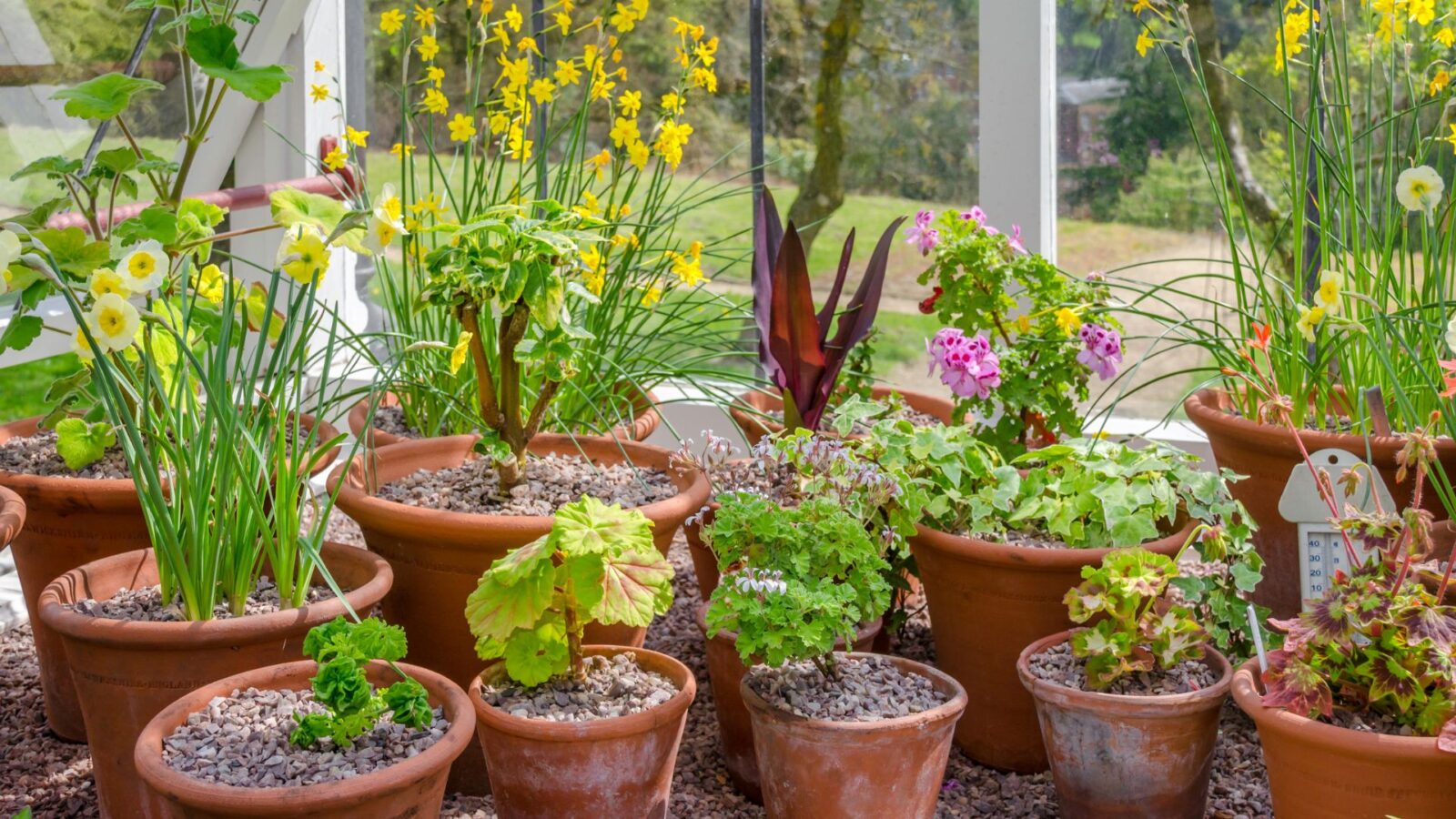 outdoor storage shed Esh's Utility Buildings